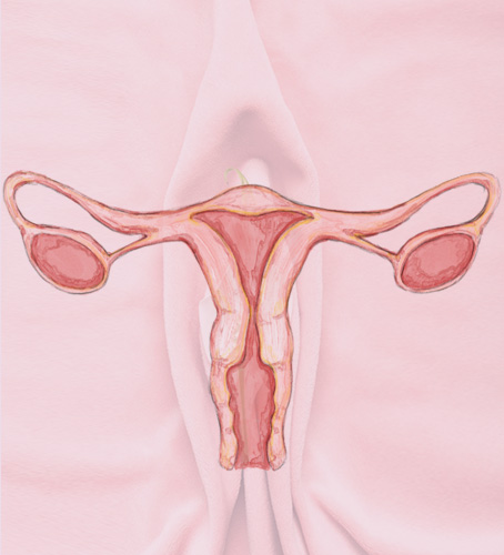Vaginoplasty